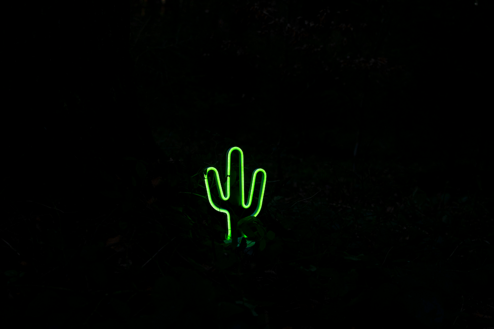 realiser cactus lumineux neon diy